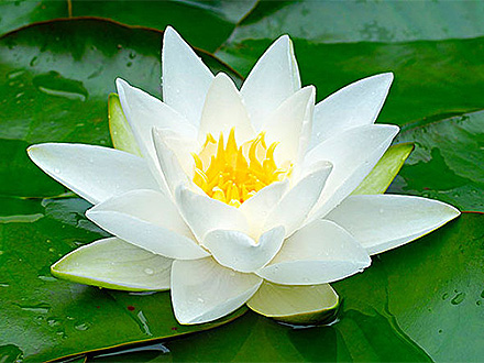www.yaxin222.com