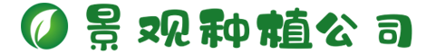 www.yaxin222.com